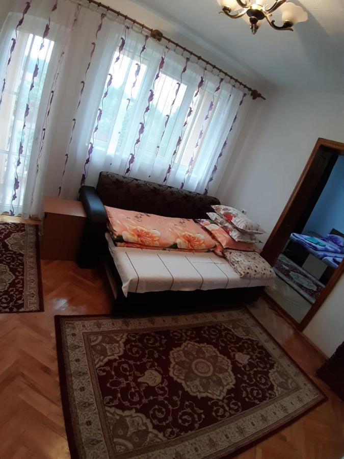 Pensiunea Covaciu Vadu Izei Εξωτερικό φωτογραφία