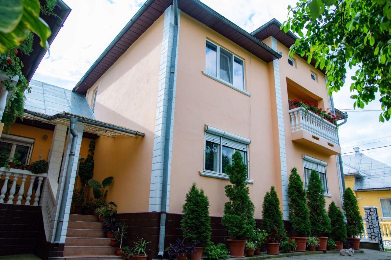 Pensiunea Covaciu Vadu Izei Εξωτερικό φωτογραφία