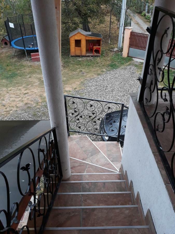 Pensiunea Covaciu Vadu Izei Εξωτερικό φωτογραφία